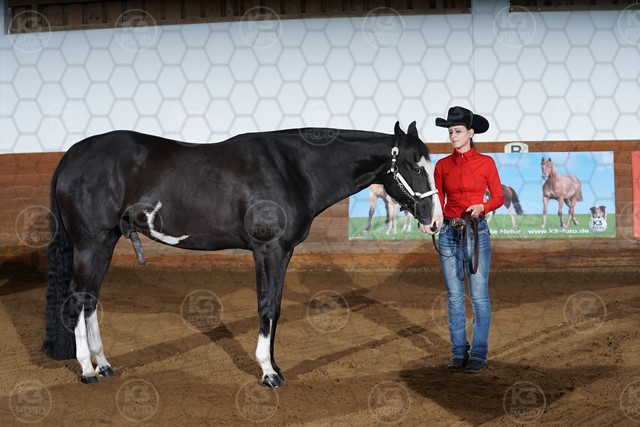 sA9K04432.JPG